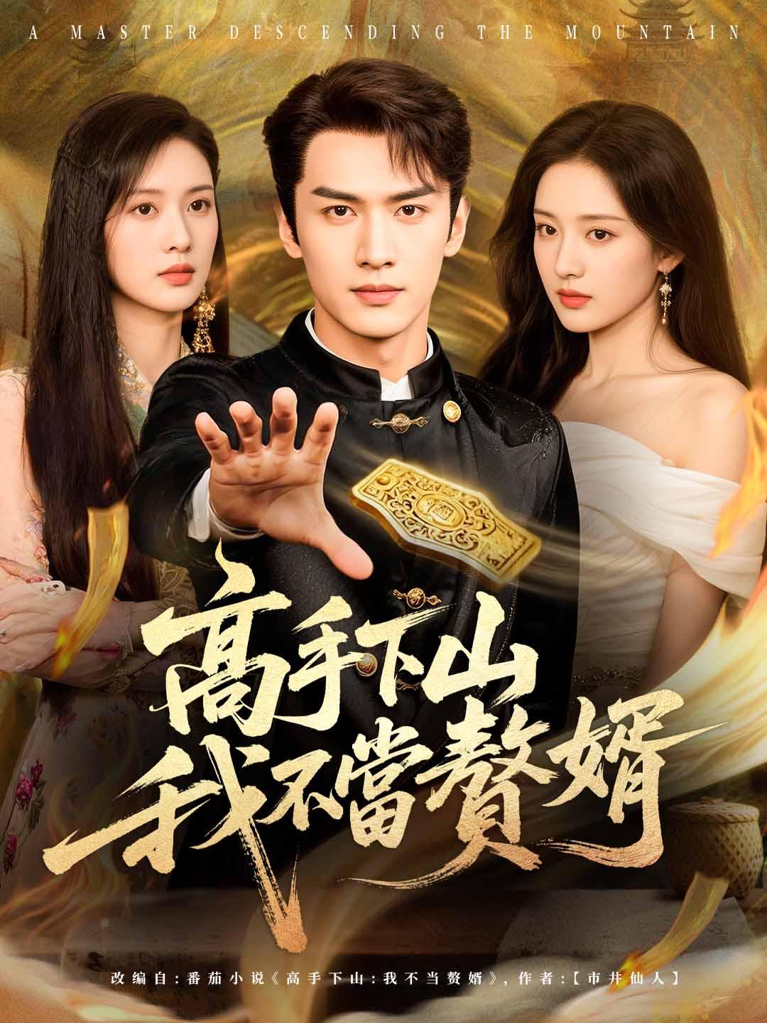 高手下山，我不當贅婿