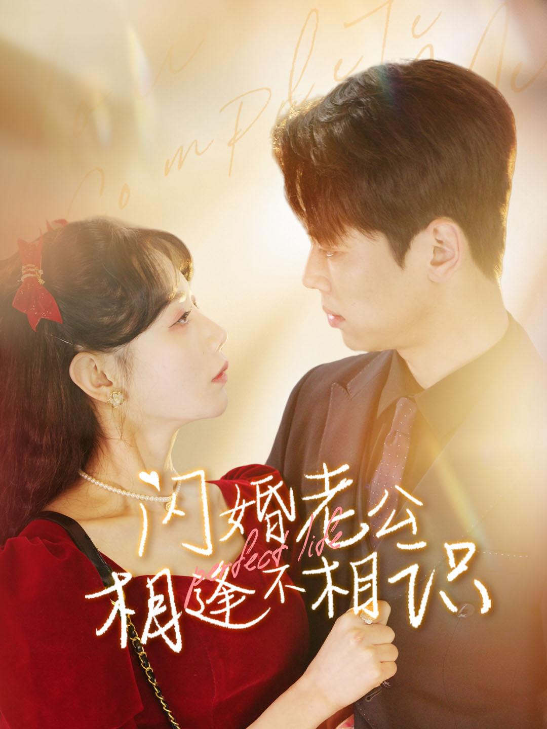 闪婚老公相逢不相识