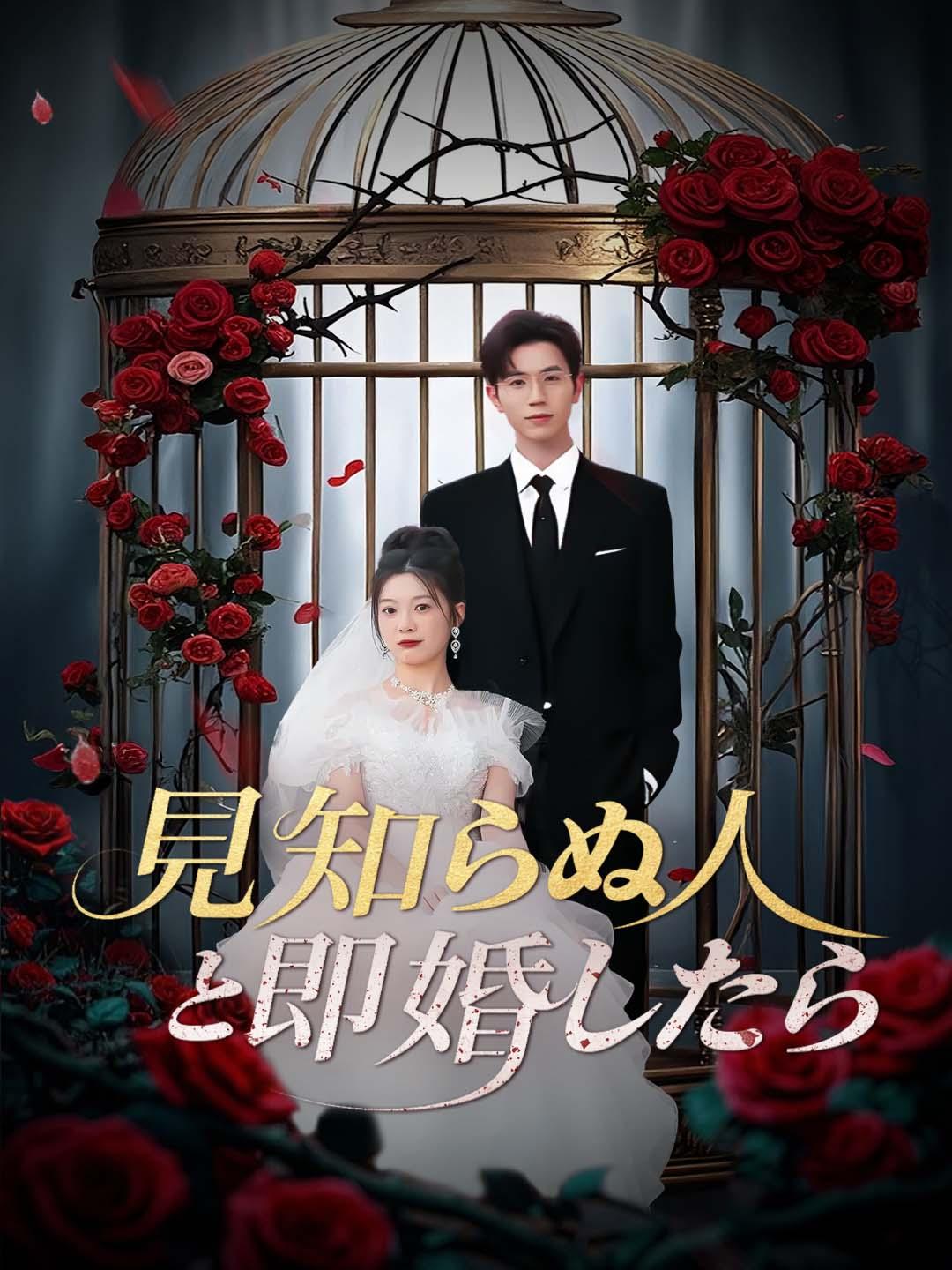 見知らぬ人と即婚したら