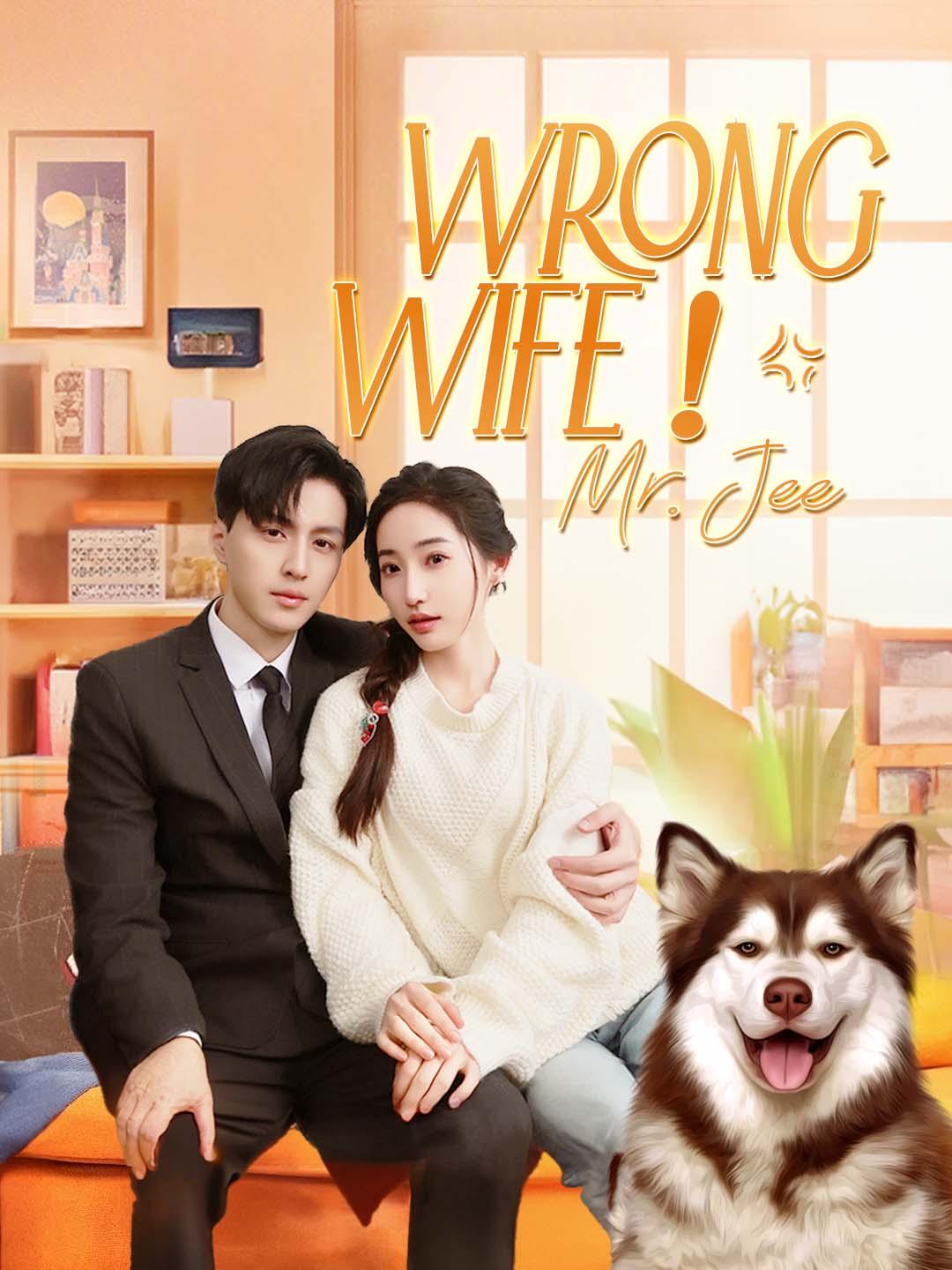 Wrong Wife! Mr. Jee