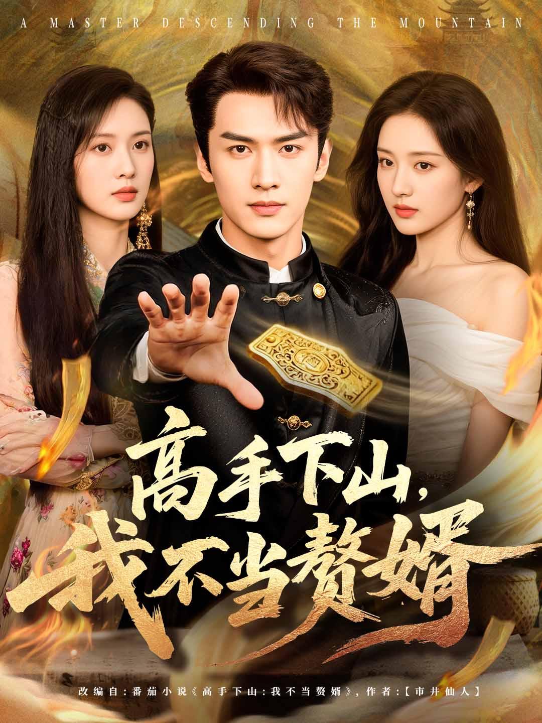 高手下山，我不当赘婿