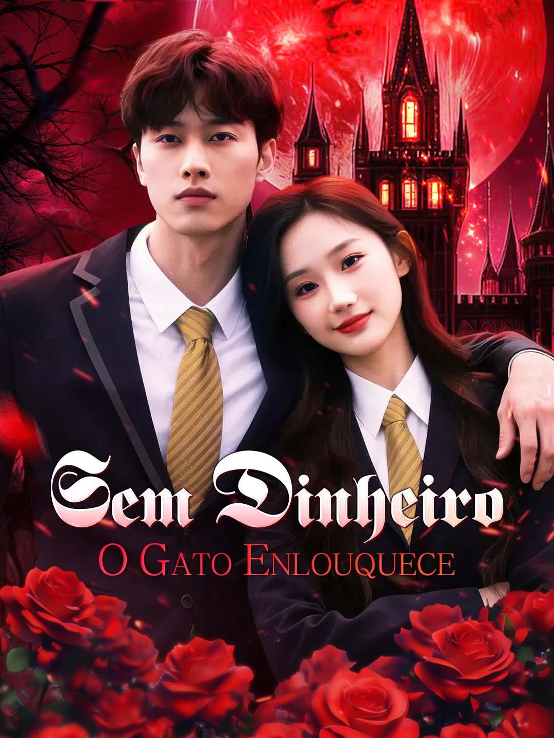 Sem Dinheiro, o gato Enlouquece!